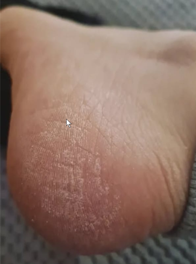 2026 01 17 20 41 28 (1) whatsapp en nog 3 andere pagina's prive microsoft​ edge